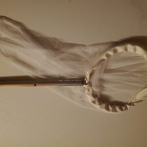 Student Insect Net